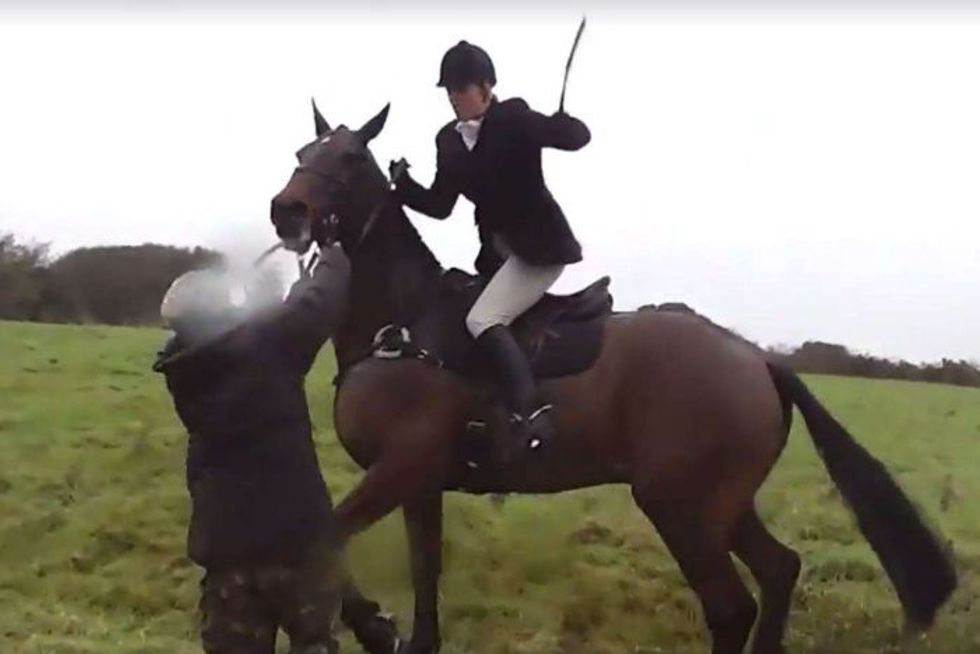 Confrontation goes off the rails when fox hunter whips anti-hunting protester repeatedly in the face