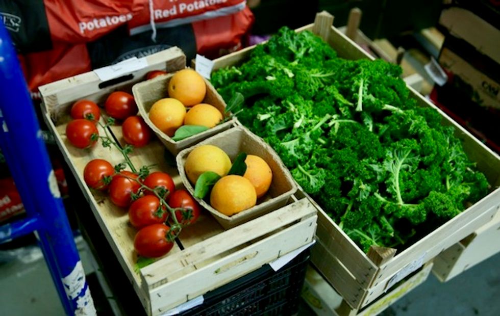 'Grotesque, deadly failure': Trump USDA under fire for allowing millions of pounds of produce to rot as food insecurity surges