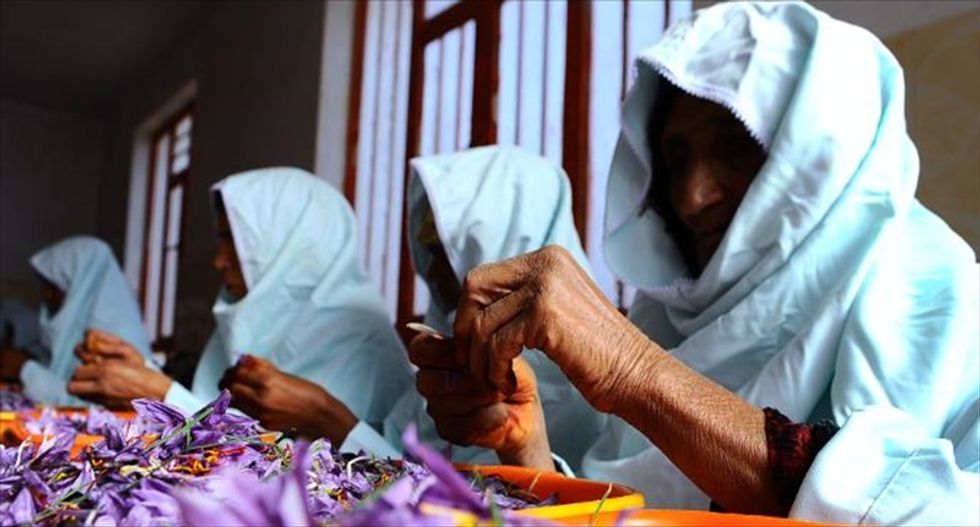 World's most expensive spice could give Afghanistan an economic lifeline