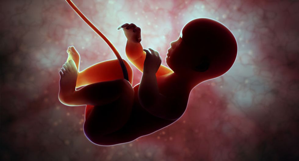 This timeline shows the evolution of the radical anti-abortion 'personhood' movement