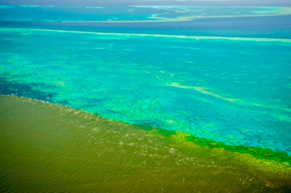 Fears flood water runoff could 'smother' Barrier Reef