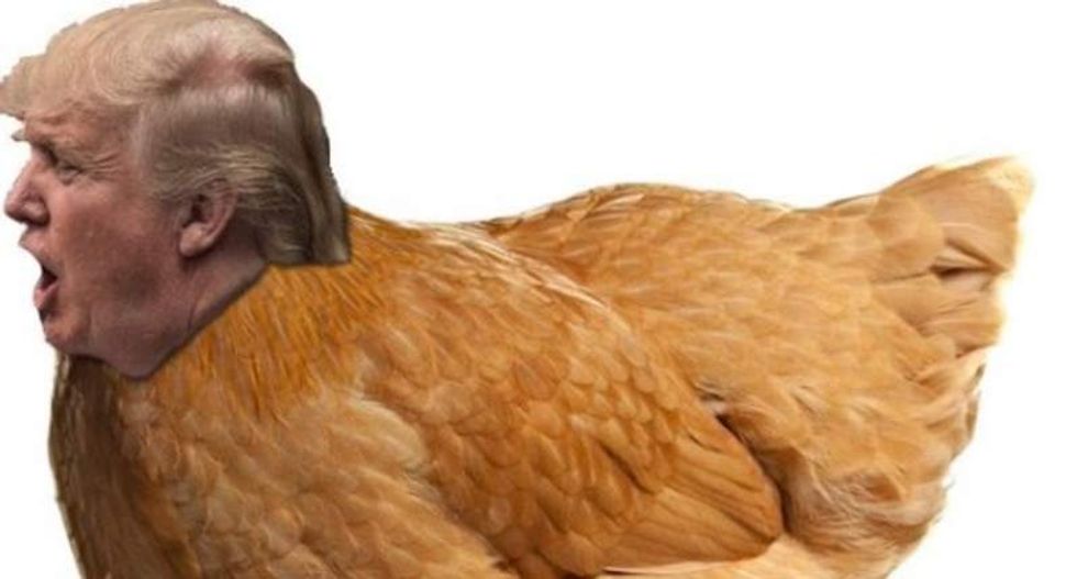 Twitter users hatch hilarious #ChickenTrump tag: 'Make America Cluck Again!'