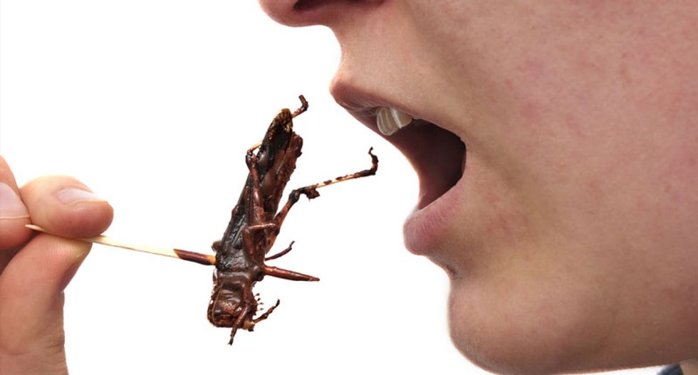 In the overcrowded future, we all might be eating beetles, mealworms and other bugs