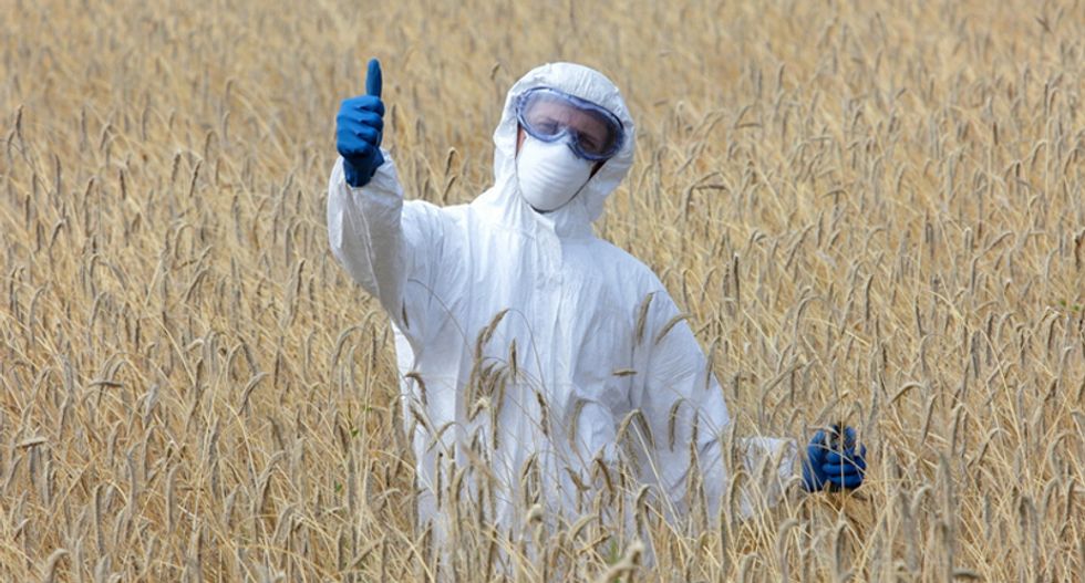 'Silent revolution' of biotechnology food will surpass GMO products: Greenpeace report