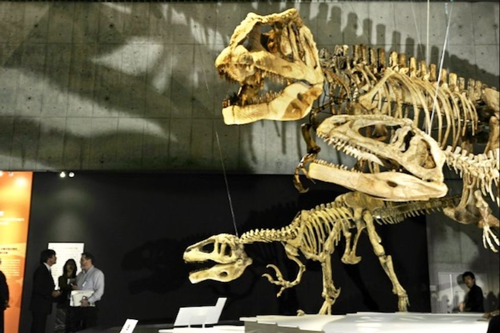 Were dinosaurs killed off by asteroid or volcanoes? It's complicated