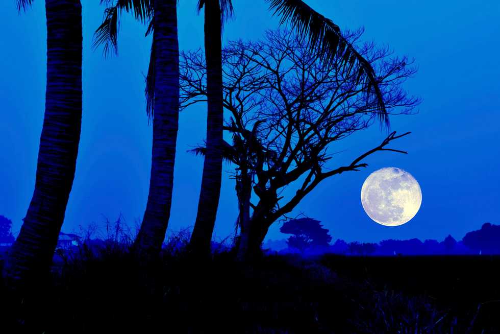 View every single moon phase for 2017
