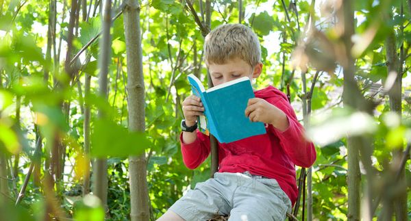 The future of education? A look inside the green schools revolution