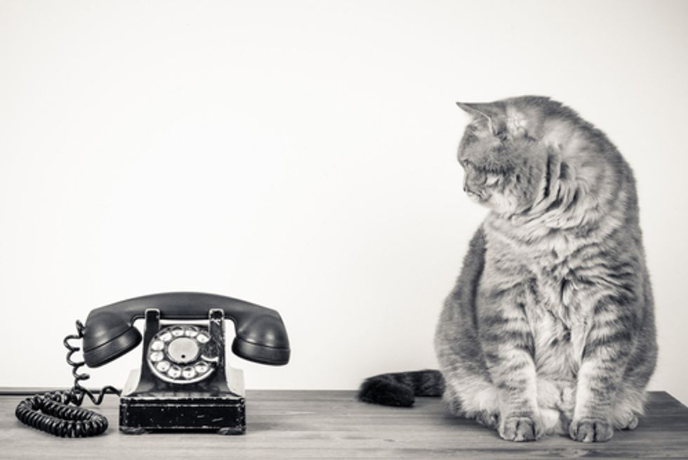 Even if you believe women "should" like cat-calling, that's no excuse to do it
