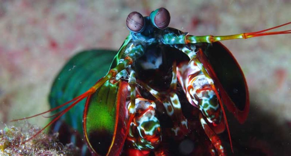 Here are 10 things you never knew about the ocean’s deepest places