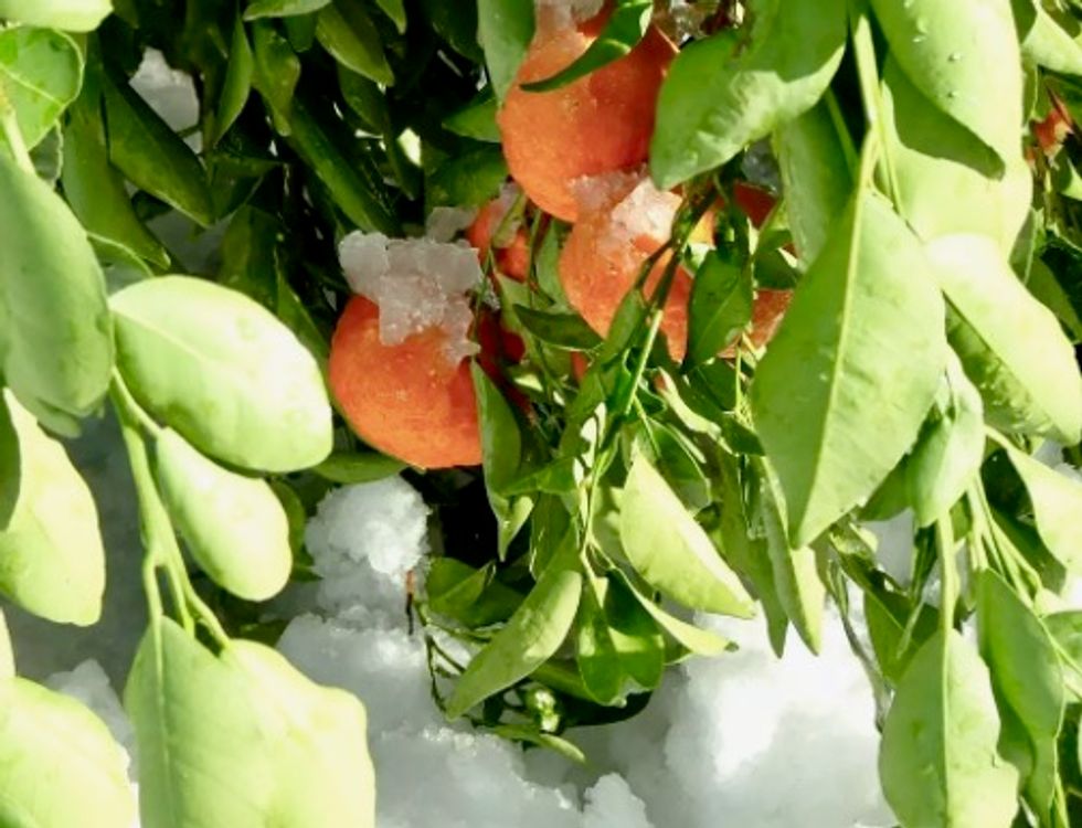 This week it was colder in Florida than it was in Alaska