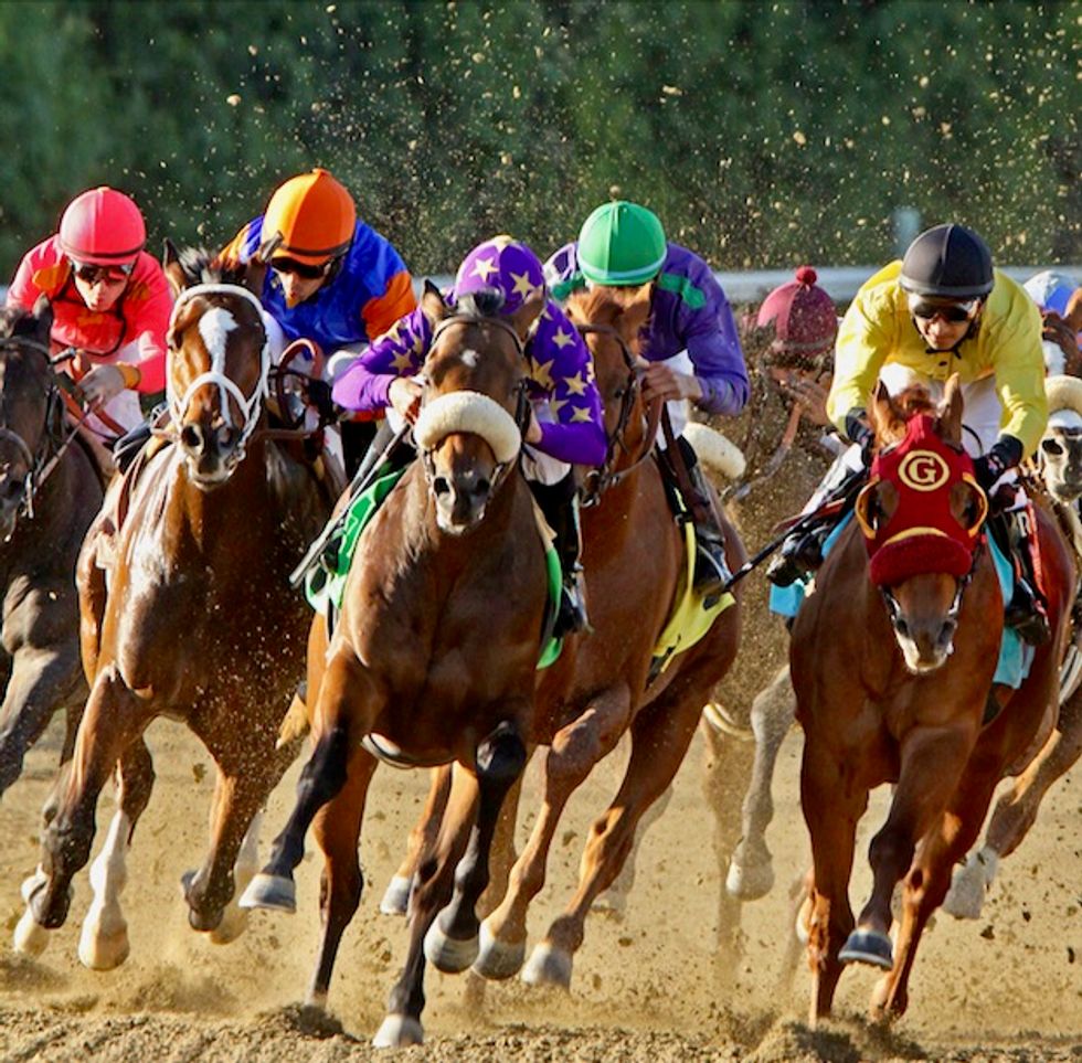 Probe widens into deaths of 22 racehorses at Santa Anita Park near LA