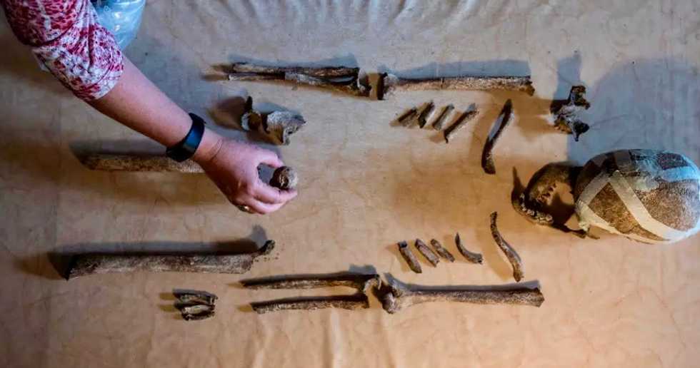 Ancient skeleton find in Germany offers clues on prehistoric era