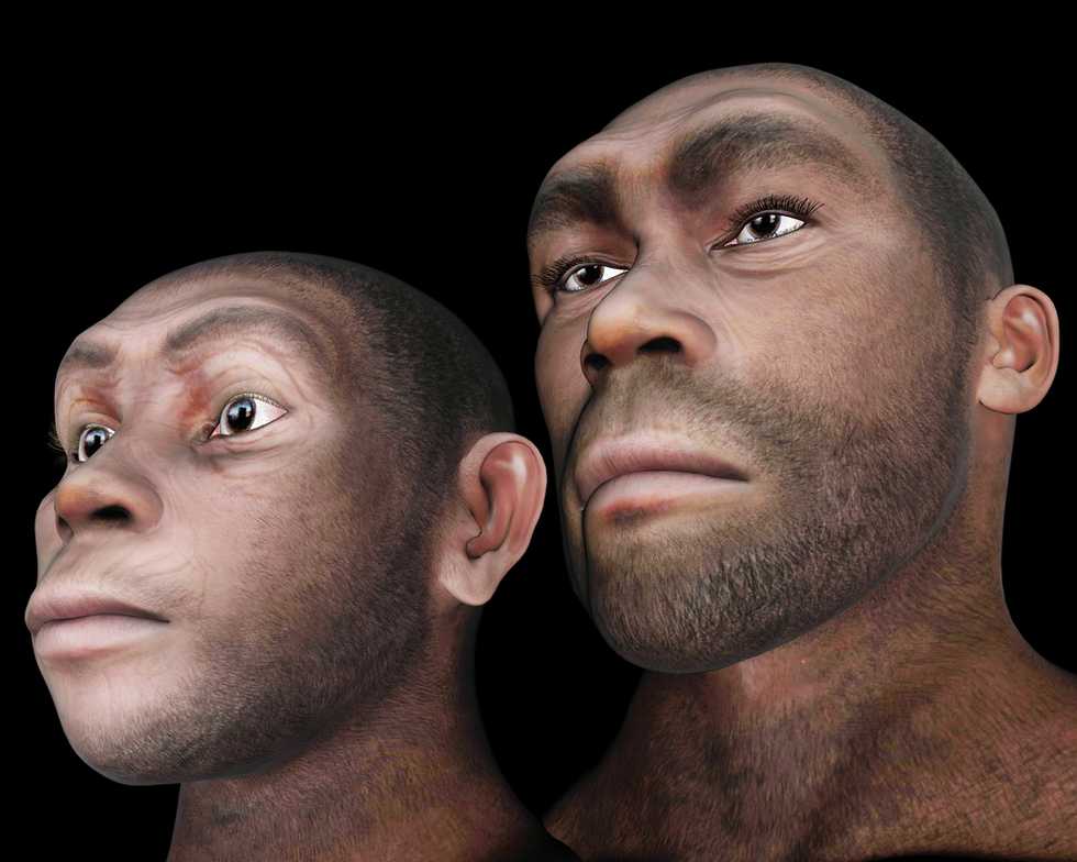 400,000-year-old engravings 'rewrite' current understanding of ancient human history