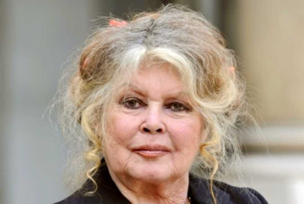 Animal rights activist Brigitte Bardot stirs fury in Reunion with 'racist' comments