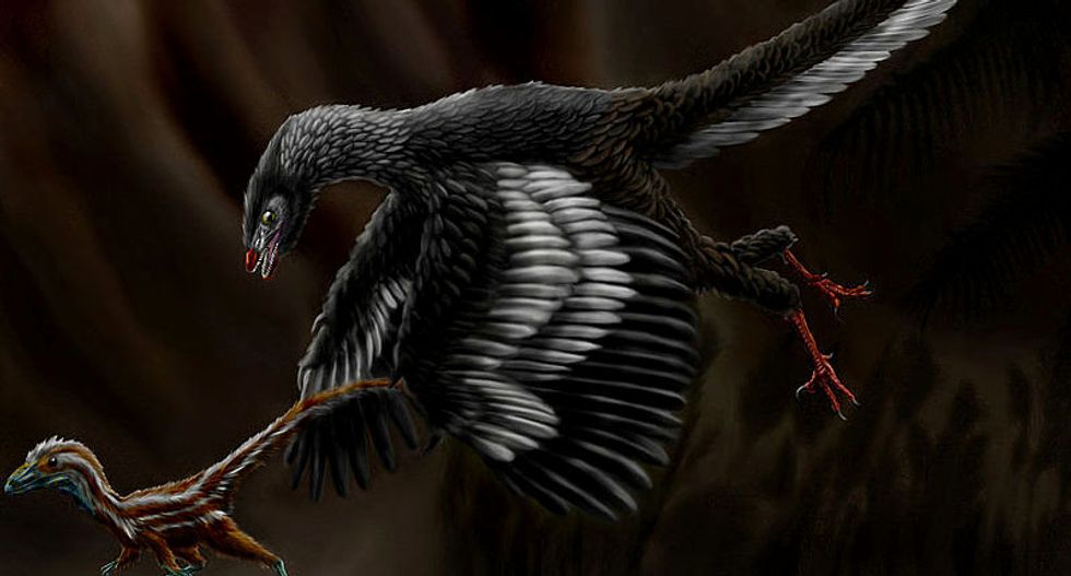 'Birds are dinosaurs': Scientists use genetic data to map the evolution of birds