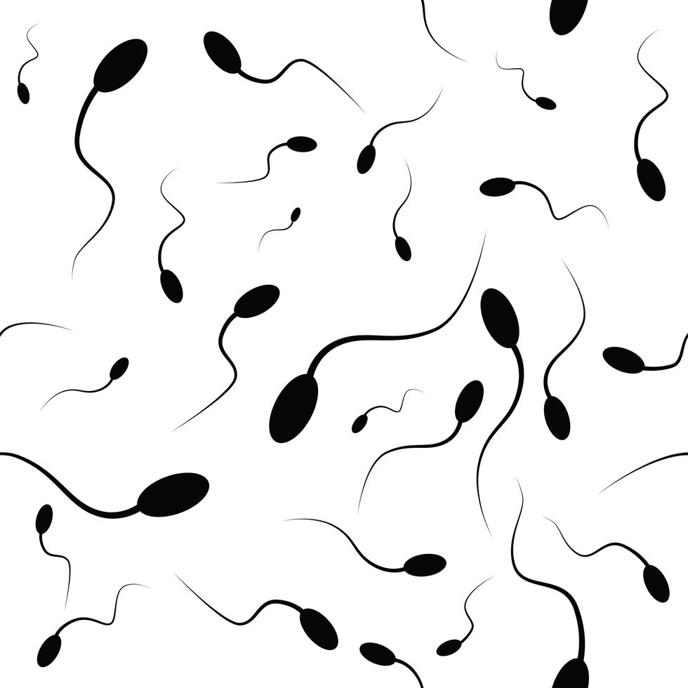 Missouri lawmaker uses "men's rights" talking points to justify abortion restriction
