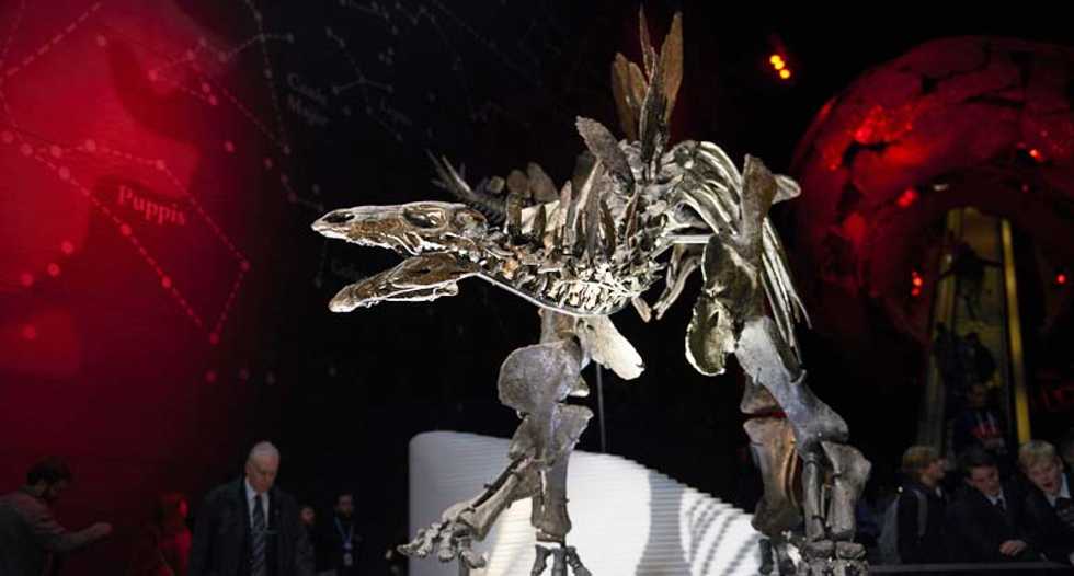 Paleontologists use Hollywood 3D technology to reassess knowledge of Stegosaurus