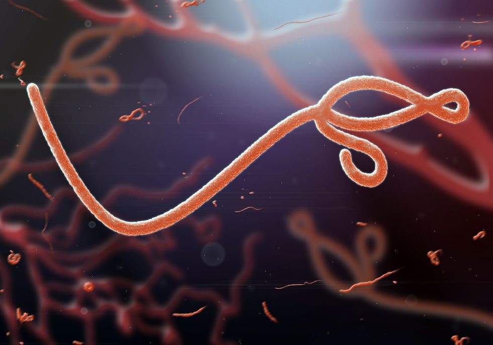 News about the success of a new Ebola vaccine may be too good to be true