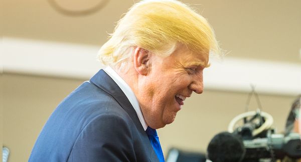 'More mail than Santa': Electors urged to buck Trump