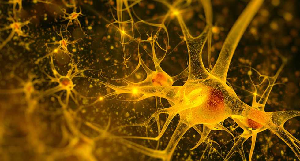 Neuroscience hasn't been weaponized – it's always been a tool of war