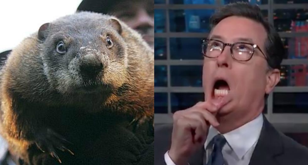 Colbert sums up 2018 Groundhog Day perfectly: Punxsutawney Phil saw who the president was and killed himself