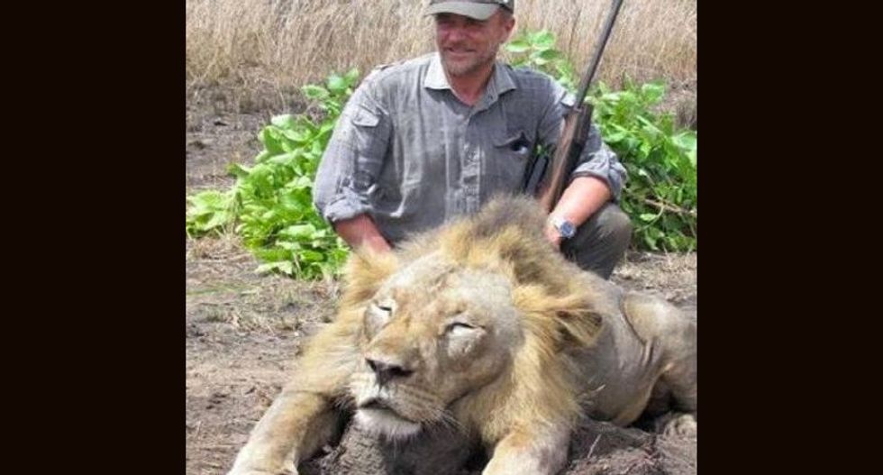 ‘It looks like he slipped and fell when he was out hunting’: Reviled lion killer falls to his death