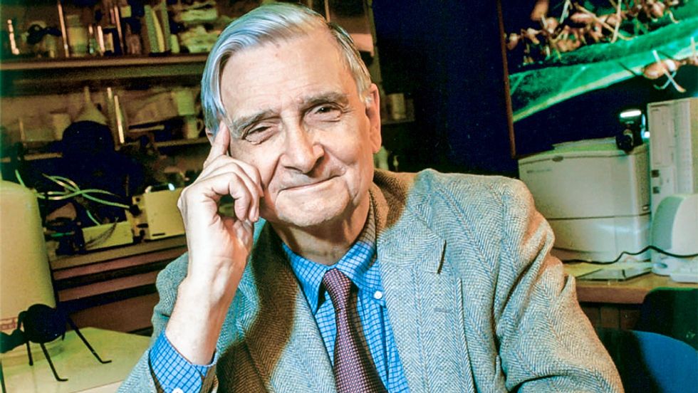 Famed biologist: Religion 'is dragging us down' and must be eliminated 'for the sake of human progress'