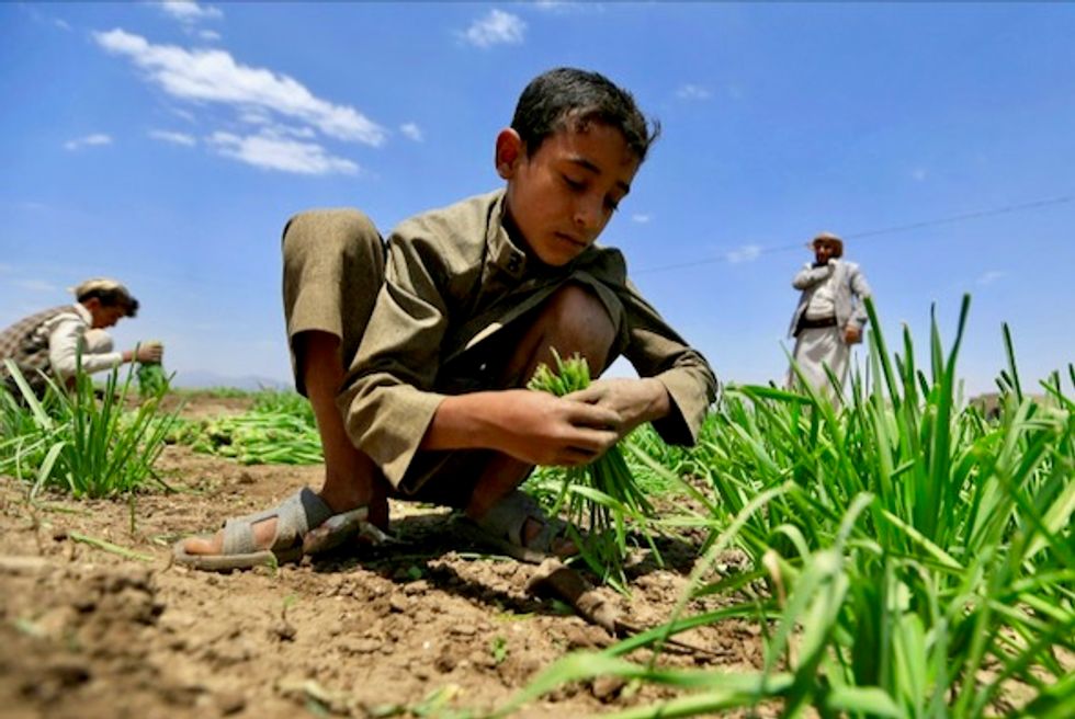 More than 113 million people suffer 'acute hunger': UN