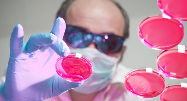 Scientists search for 13 people whose genes hold the key to solving hundreds of diseases