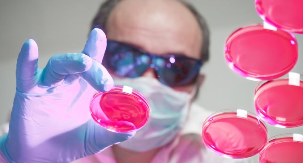 Scientists search for 13 people whose genes hold the key to solving hundreds of diseases