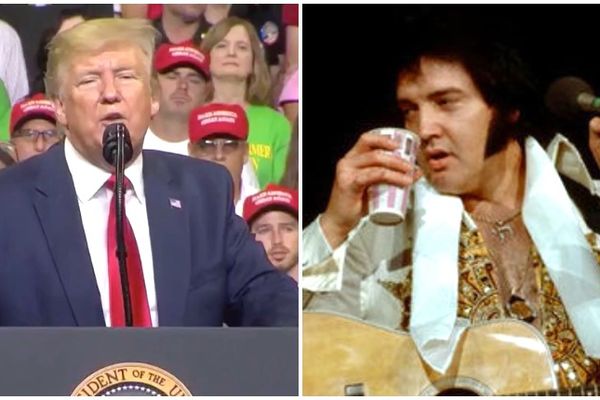 'What do you think?' Trump asks social media if he looks like Elvis Presley