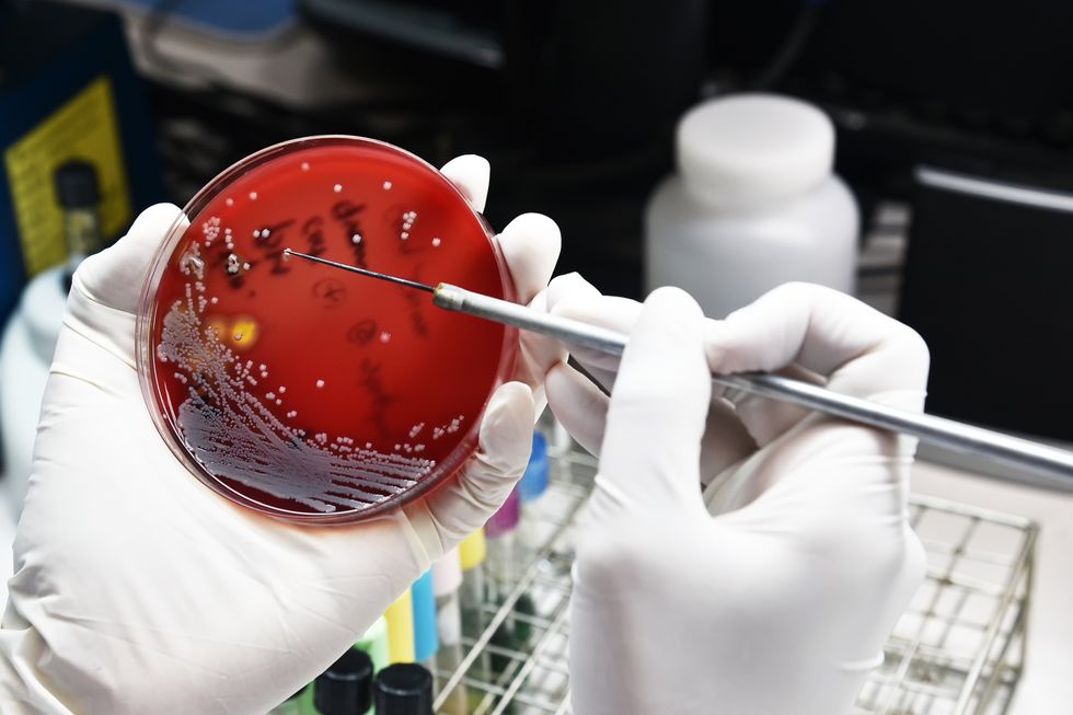 A Nevada woman dies of a superbug resistant to every available antibiotic in the US