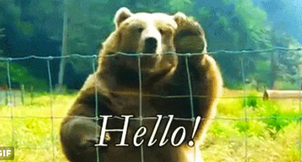 ‘Jesus Christ. Grizzly bears?’: Internet loses it as DeVos pushes guns in schools to stop grizzly attacks