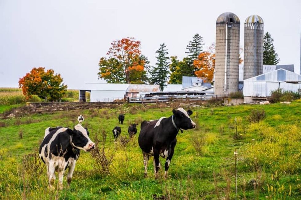 Here's how rural Wisconsin could tip the 2020 presidential election