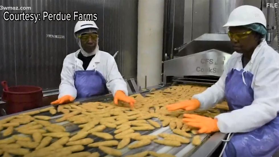 Perdue workers walk off job after they say company failed to sterilize chicken plant during pandemic