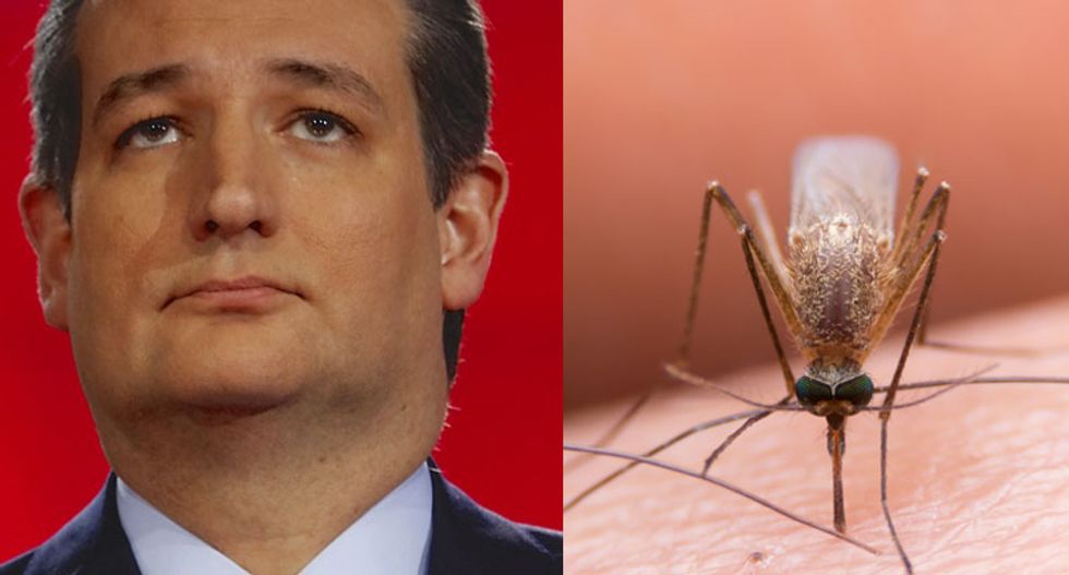 Ted Cruz didn’t bother to vote on a bill to fight the Zika virus as Texas scrambles to prevent an outbreak