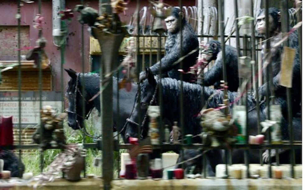 What species would become dominant on Earth if humans died out?