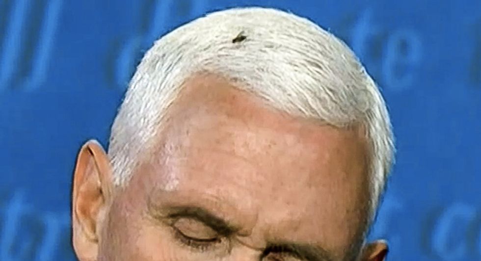 Mike Pence mocked as he’s ‘dominated' by 'the fly' that spends 2 minutes and 20 seconds on his head