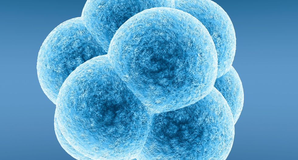 New York doctor ordered to stop advertising controversial '3-parent baby' gene splice service