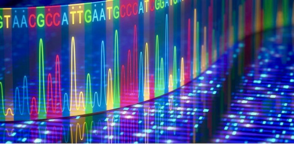 No single 'gay gene,' according to largest ever DNA analysis