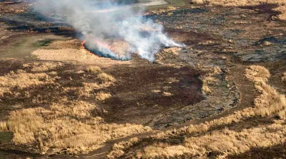 Argentine marshland threatened by worst fires in decades