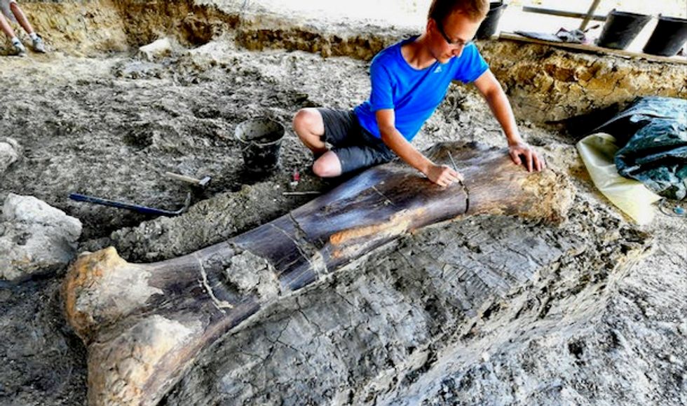 Paleontologists find giant dinosaur bone in southwestern France