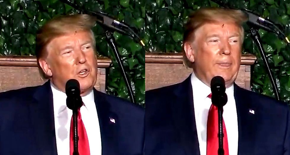 'He's the one who's infested': Internet dies of laughter after bug appears to get stuck in Trump's hair
