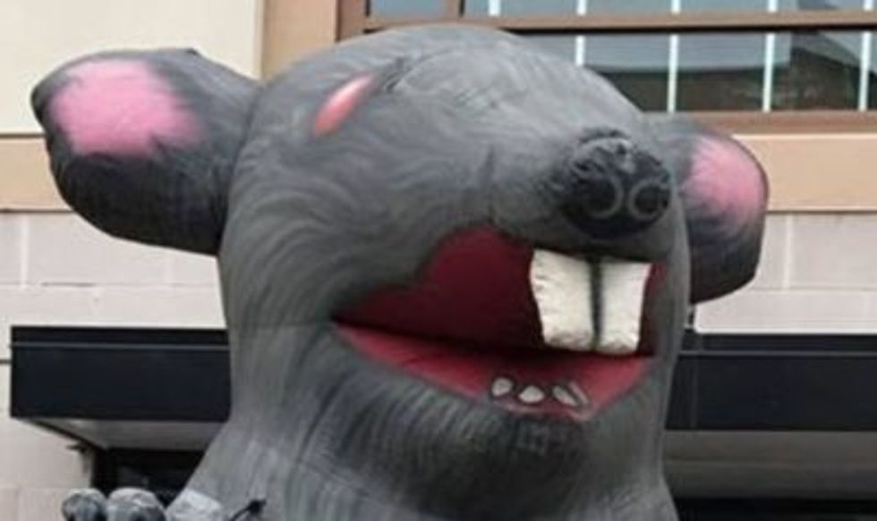 Trump administration is trying to kill beloved labor symbol 'Scabby the Rat' in free speech attack on unions