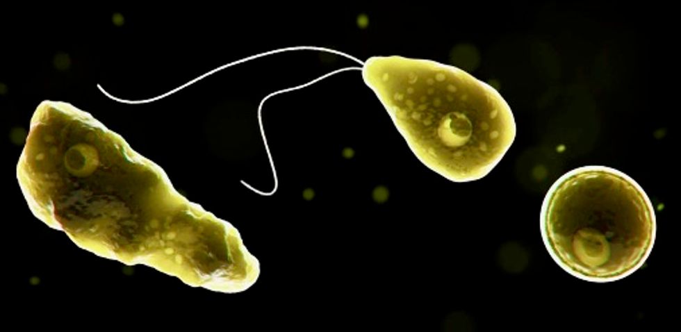 Why the ‘brain-eating’ amoeba found in freshwater lakes – while rare – is so deadly