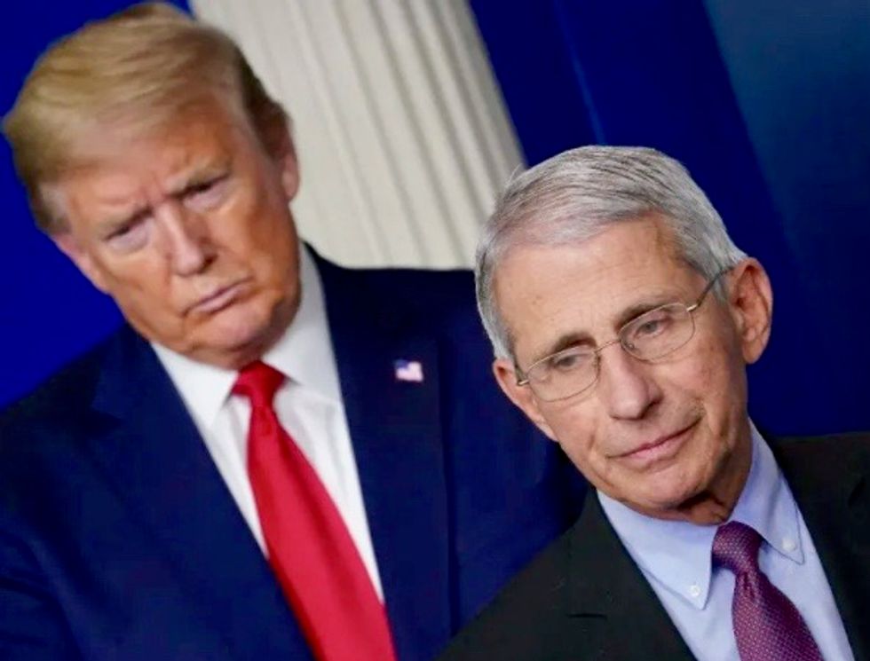 'I'd put the heads on pikes': Former Trump adviser calls for beheading of Fauci and FBI chief