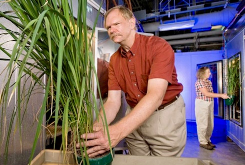 Top scientist says he quit USDA because Trump administration tried to bury his study on climate and nutrition