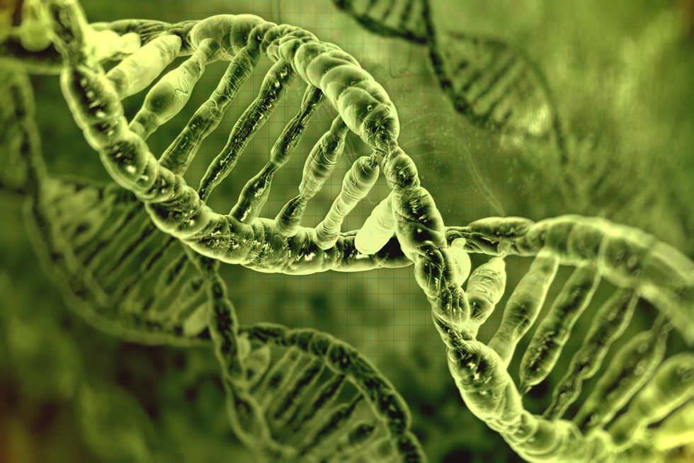 Human chromosomes are only half DNA