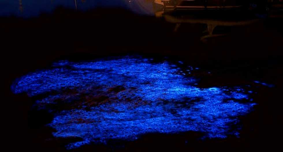 Tasmania's gorgeous, glowing water is a sign of something sinister