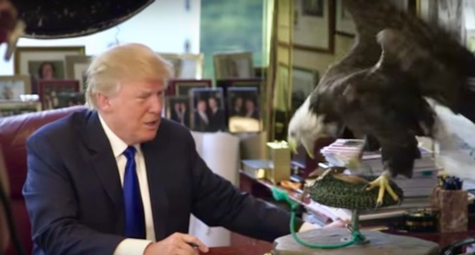 It saved America’s Bald Eagle. Now Trump will strangle Endangered Species Act so big oil can make more money